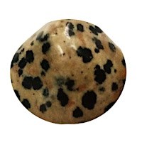 Jaspis dalmatin - tromlovaná placička