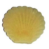 Krabička mušle 