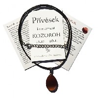Přívěsek ke znamení Kozoroh