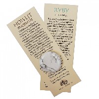 Ryby - záložka a kamenná placička